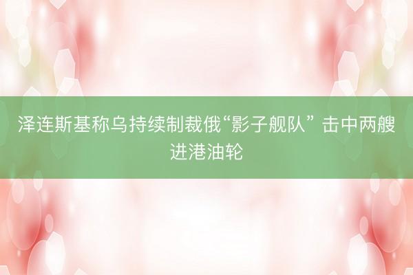 泽连斯基称乌持续制裁俄“影子舰队” 击中两艘进港油轮