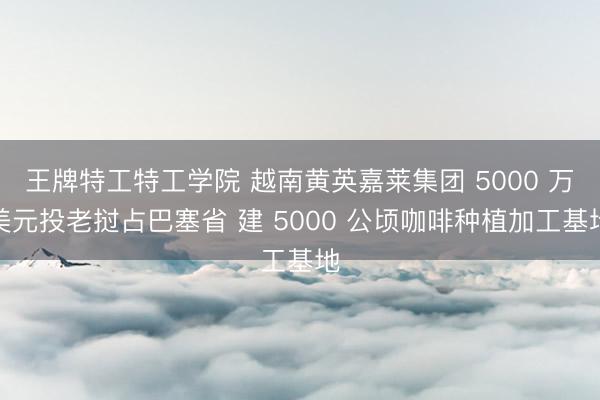 王牌特工特工学院 越南黄英嘉莱集团 5000 万美元投老挝占巴塞省 建 5000 公顷咖啡种植加工基地