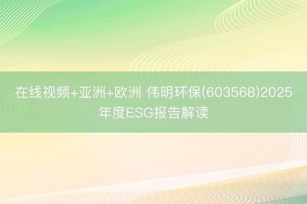 在线视频+亚洲+欧洲 伟明环保(603568)2025年度E