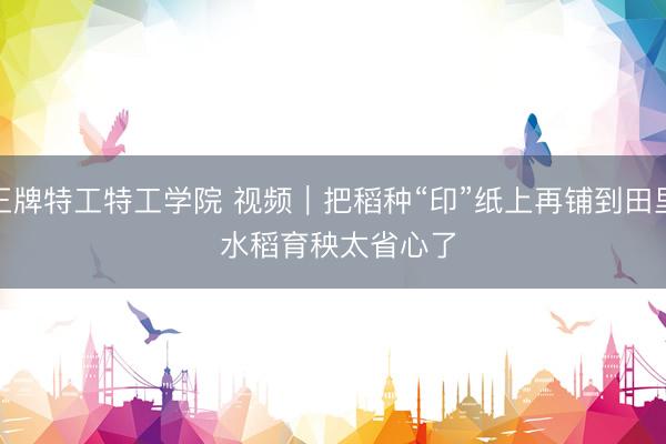王牌特工特工学院 视频｜把稻种“印”纸上再铺到田里 水稻育秧太省心了