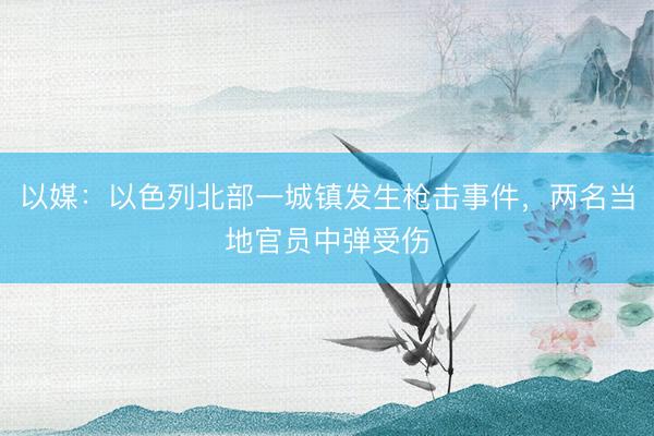 以媒：以色列北部一城镇发生枪击事件，两名当地官员中弹受伤