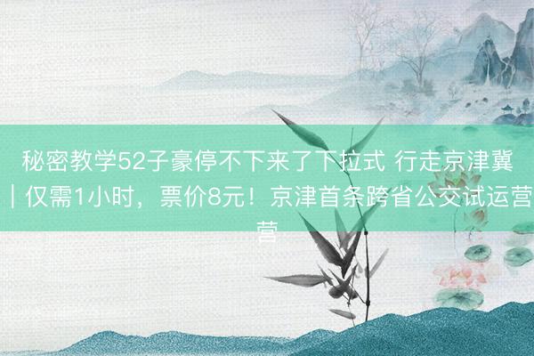 秘密教学52子豪停不下来了下拉式 行走京津冀｜仅需1小时，票价8元！京津首条跨省公交试运营