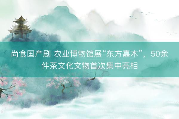 尚食国产剧 农业博物馆展“东方嘉木”,50余件茶文化文物首次集中亮相