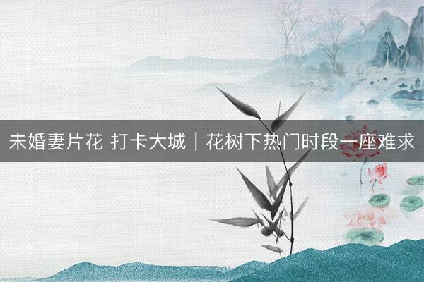 未婚妻片花 打卡大城｜花树下热门时段一座难求