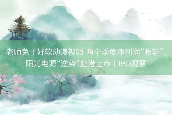 老师兔子好软动漫视频 两个季度净利润“腰斩”，阳光电源“逆势”赴港上市｜IPO观察