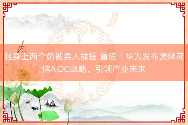 我身上两个奶被男人揉搓 重磅｜华为发布源网荷储AIDC战略，引领产业未来