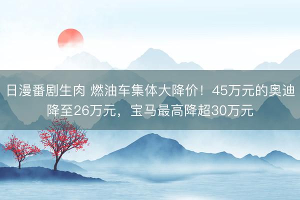 日漫番剧生肉 燃油车集体大降价！45万元的奥迪降至26万元，宝马最高降超30万元