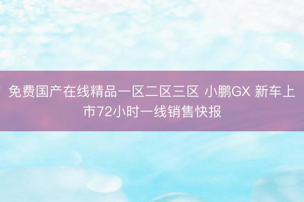 免费国产在线精品一区二区三区 小鹏GX 新车上市72小时一线销售快报