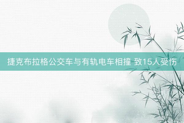 捷克布拉格公交车与有轨电车相撞 致15人受伤