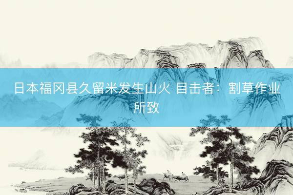 日本福冈县久留米发生山火 目击者：割草作业所致