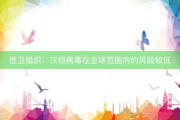 世卫组织：汉坦病毒在全球范围内的风险较低