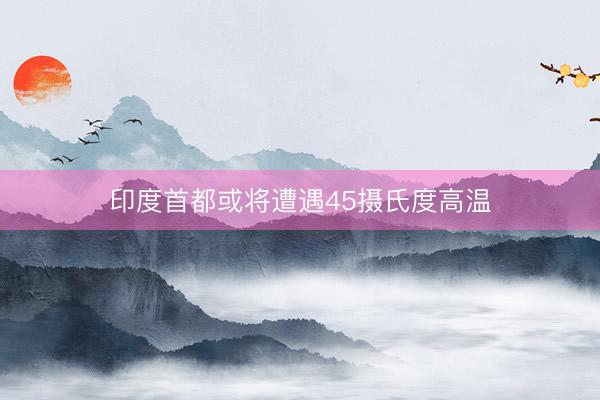 印度首都或将遭遇45摄氏度高温