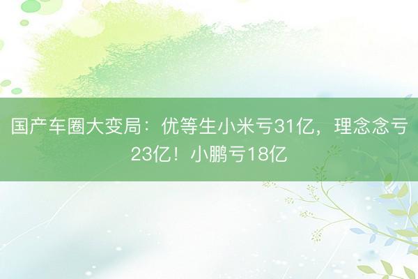 国产车圈大变局：优等生小米亏31亿，理念念亏23亿！小鹏亏18亿