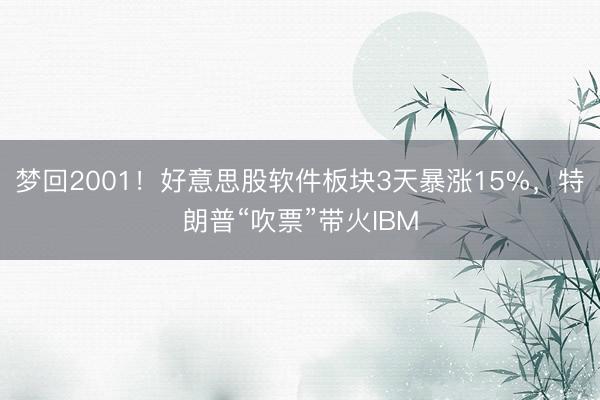 梦回2001！好意思股软件板块3天暴涨15%，特朗普“吹票”带火IBM