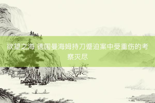 欲望之海 德国曼海姆持刀蹙迫案中受重伤的考察灭尽