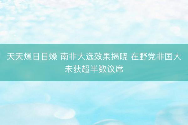 天天燥日日燥 南非大选效果揭晓 在野党非国大未获超半数议席
