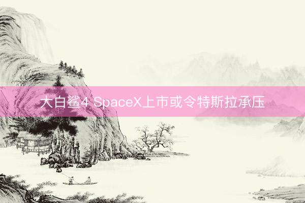 大白鲨4 SpaceX上市或令特斯拉承压