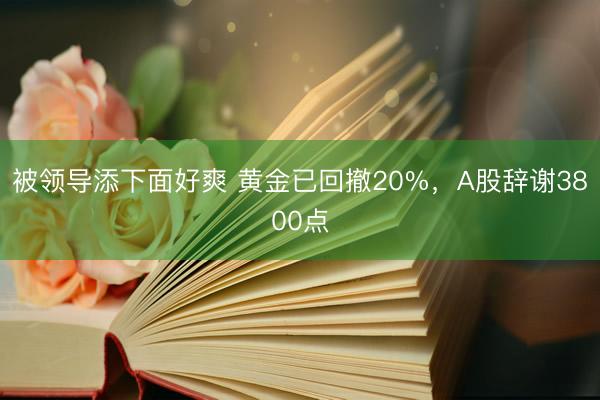 被领导添下面好爽 黄金已回撤20%，A股辞谢3800点