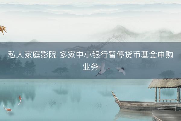 私人家庭影院 多家中小银行暂停货币基金申购业务