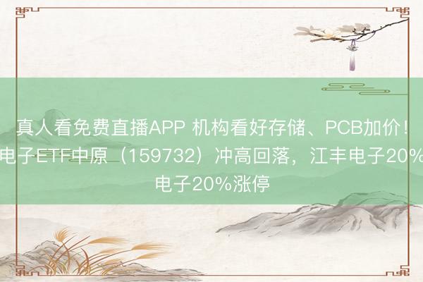 真人看免费直播APP 机构看好存储、PCB加价！消耗电子ETF中原（159732）冲高回落，江丰电子20%涨停