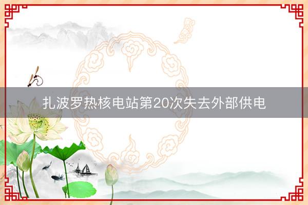 扎波罗热核电站第20次失去外部供电