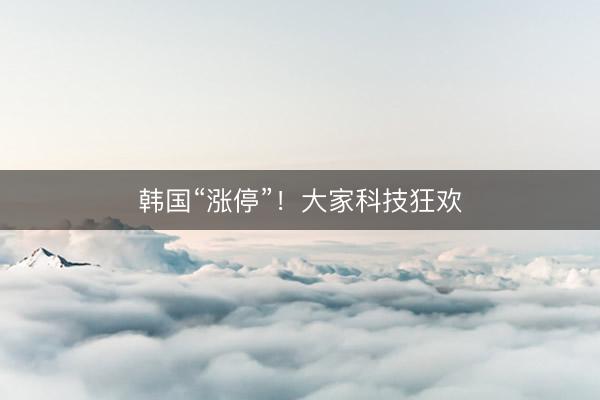 韩国“涨停”！大家科技狂欢